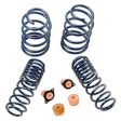 Ford Racing 2012-2013 BOSS 302 Lowering Springs For Discount