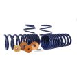 Ford Racing 15-22 Mustang Track Lowering Spring Kit Online now