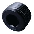 Fragola 1in NPT Pipe Plug Internal Black Supply