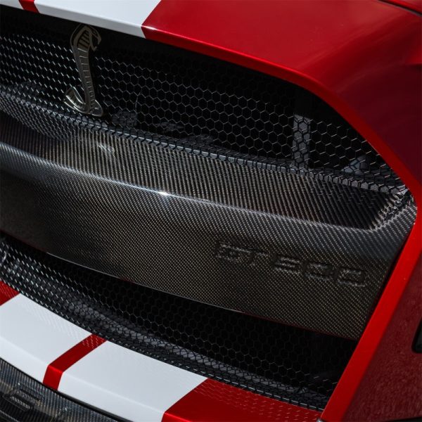 Ford Racing 20-21 Mustang GT500 Carbon Fiber Bumper Insert Online now